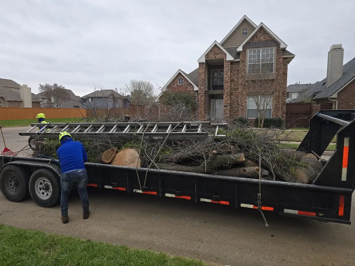 Expert Tree Removal with proper safety equipment in Enumclaw